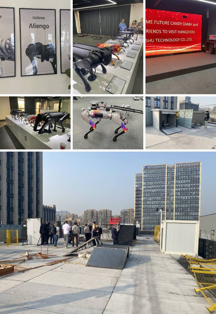 Besuch bei Unitree Robotics in Hangzhou